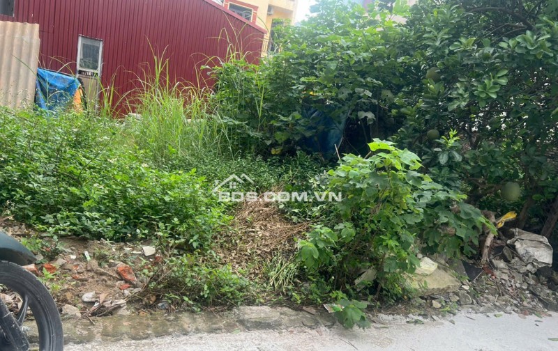 BÁN ĐẤT ĐẸP HẢI BỐI - Ô TÔ ĐỖ CỬA - GẦN CẦU THĂNG LONG, NHẬT TÂN 50m2 4.8 tỉ